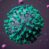 Omikron virus (foto credits: Wetenschap in Beeld)