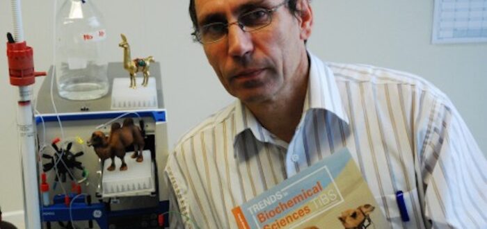 Professor Serge Muyldermans (foto credits: VUB)